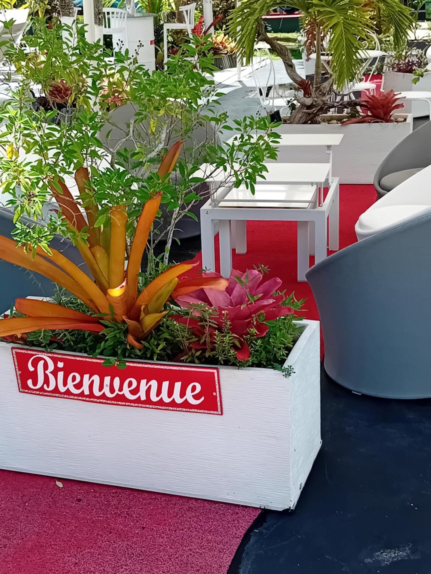 Вилла La Sainte Rosienne Mangue Экстерьер фото