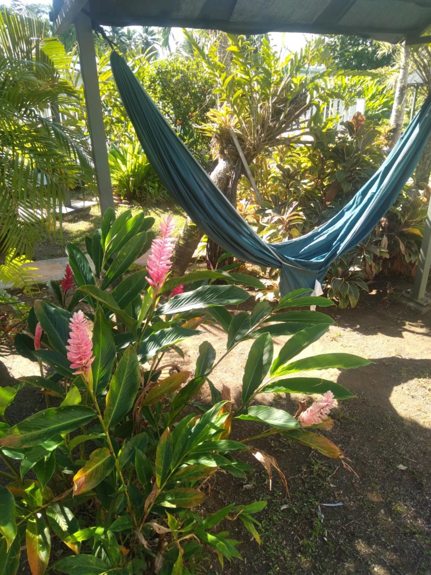 Вилла La Sainte Rosienne Mangue Экстерьер фото